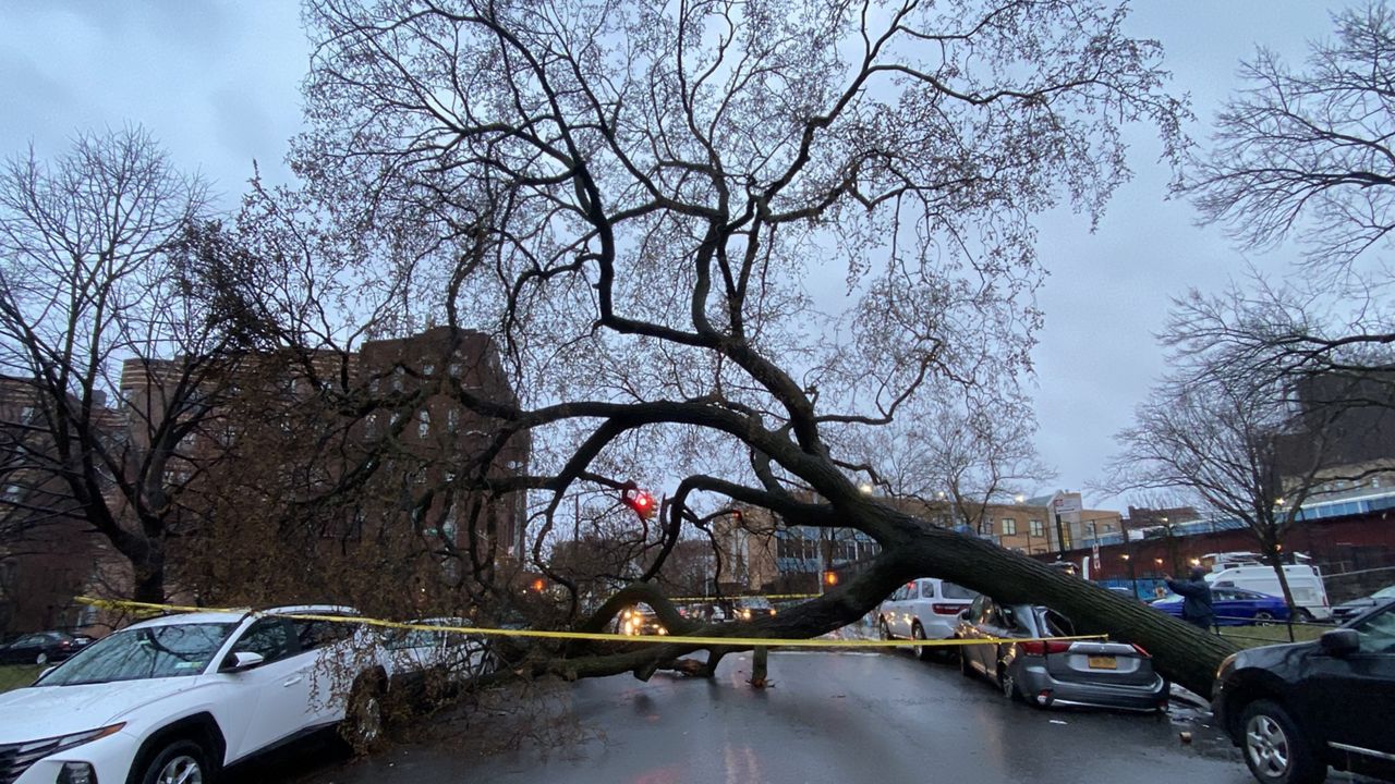 Nor'easter brings gusty winds and wet snow to NYC