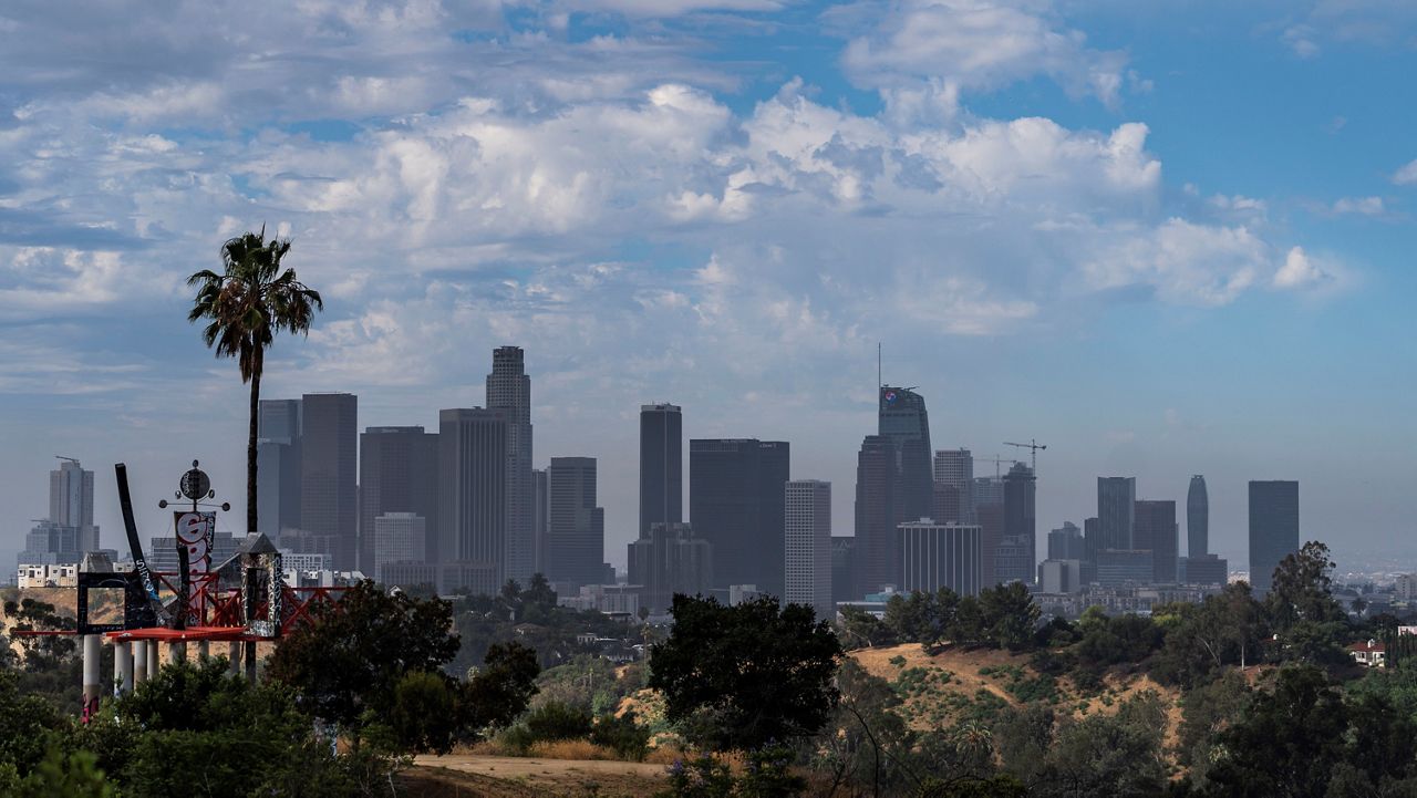 (AP Photo/Damian Dovarganes)