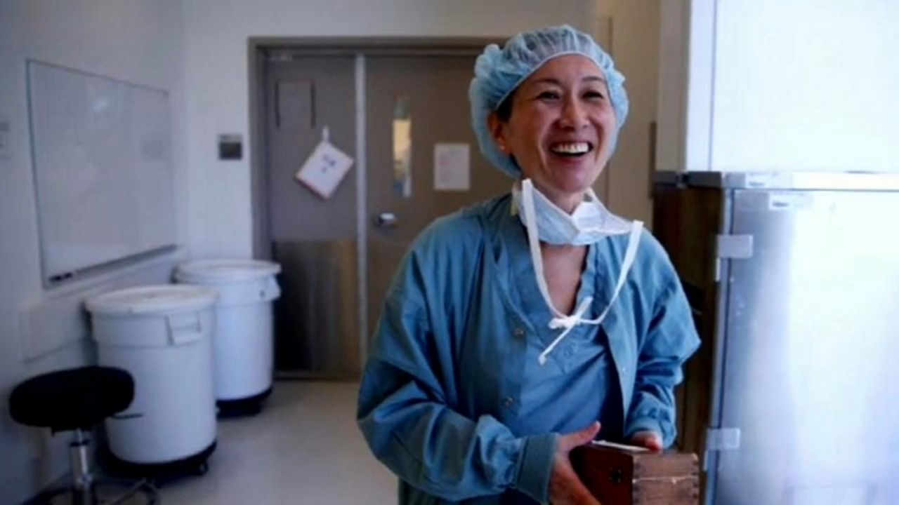 East Orange Focus >> LA Stories: Renowned Brain Surgeon Dr. Linda Liau East Orange Focus >> LA Stories: Renowned Brain Surgeon Dr. Linda Liau