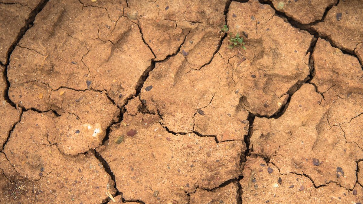 Drought Conditions