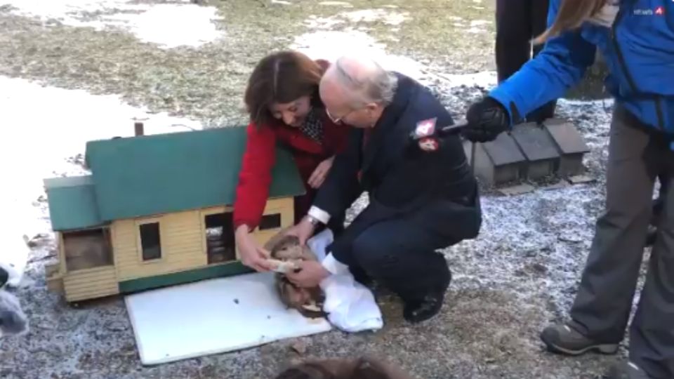 Dunkirk Dave predicts early spring