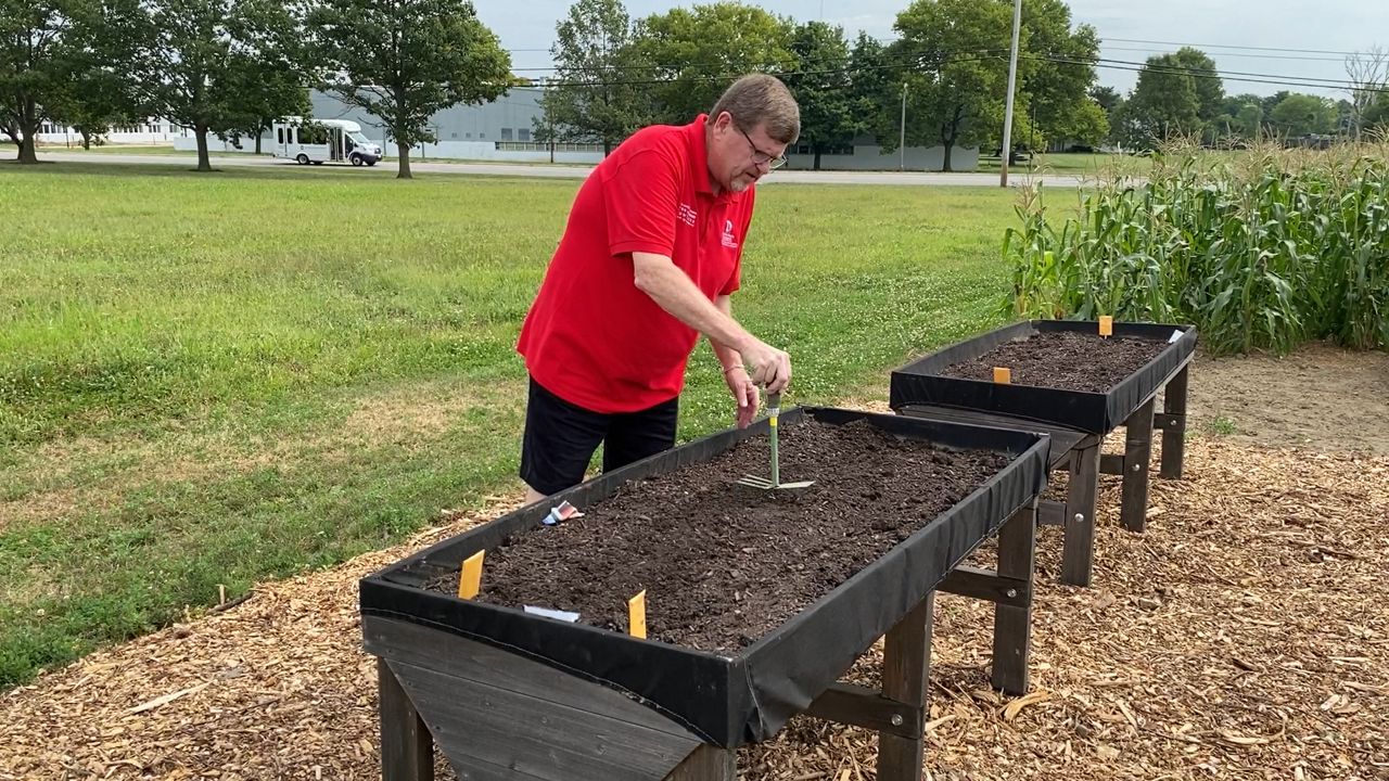 Create Your Own Victory Garden