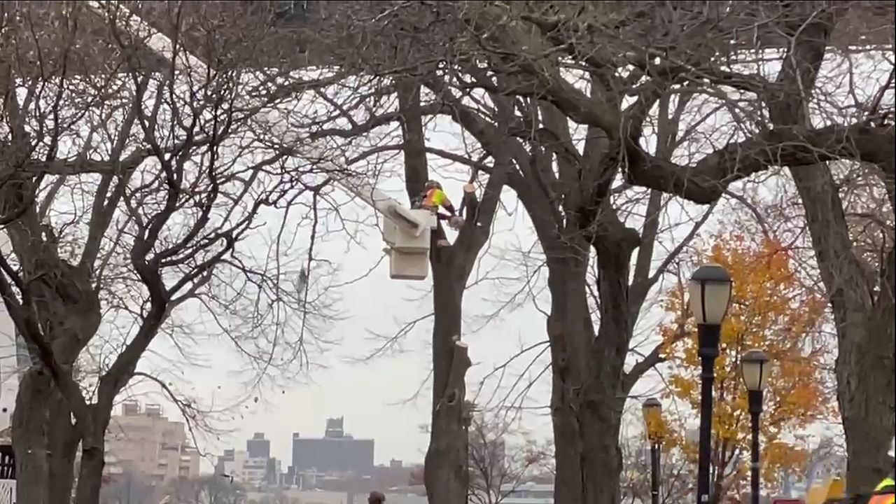 City resumes East River Park work despite judge's order