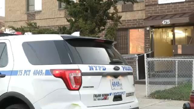 East New York shooting arrest 