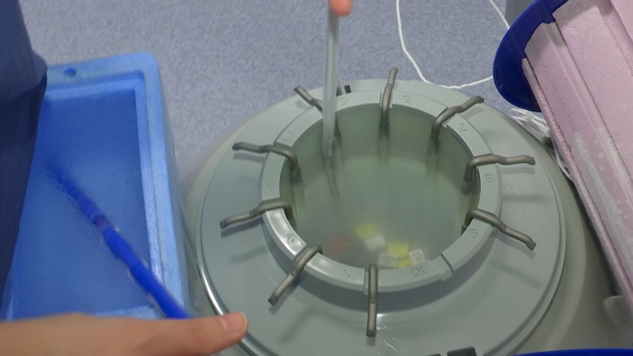 Egg Freezing and When to Start Planning for Pregnancy