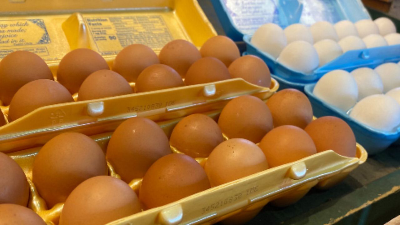 U.S. egg prices rising as grocers monitor bird flu