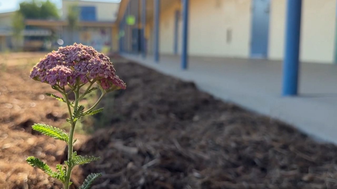 Gidley schoolyard in El Monte redesigned for cooler campus