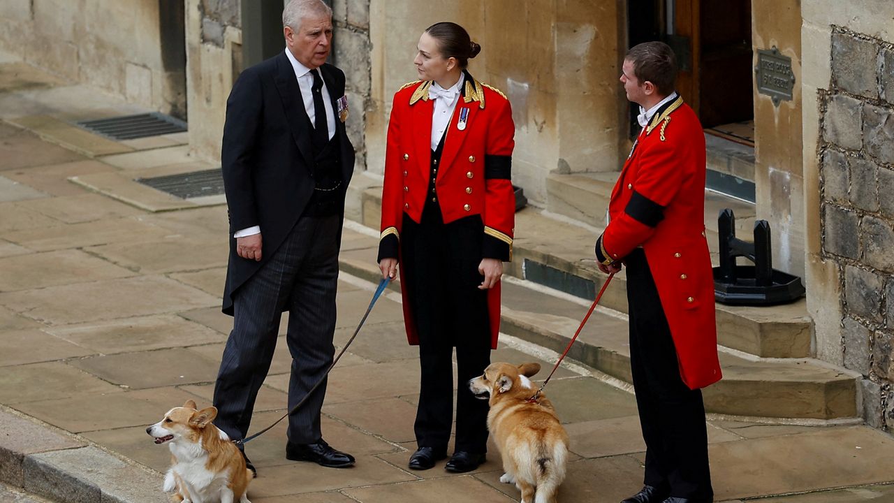 Prince Andrew stands next to the royal corgis as they await the cortege on the day of the state funeral and burial of Queen Elizabeth II at Windsor Castle. (Peter Nicholls/Pool Photo via AP)