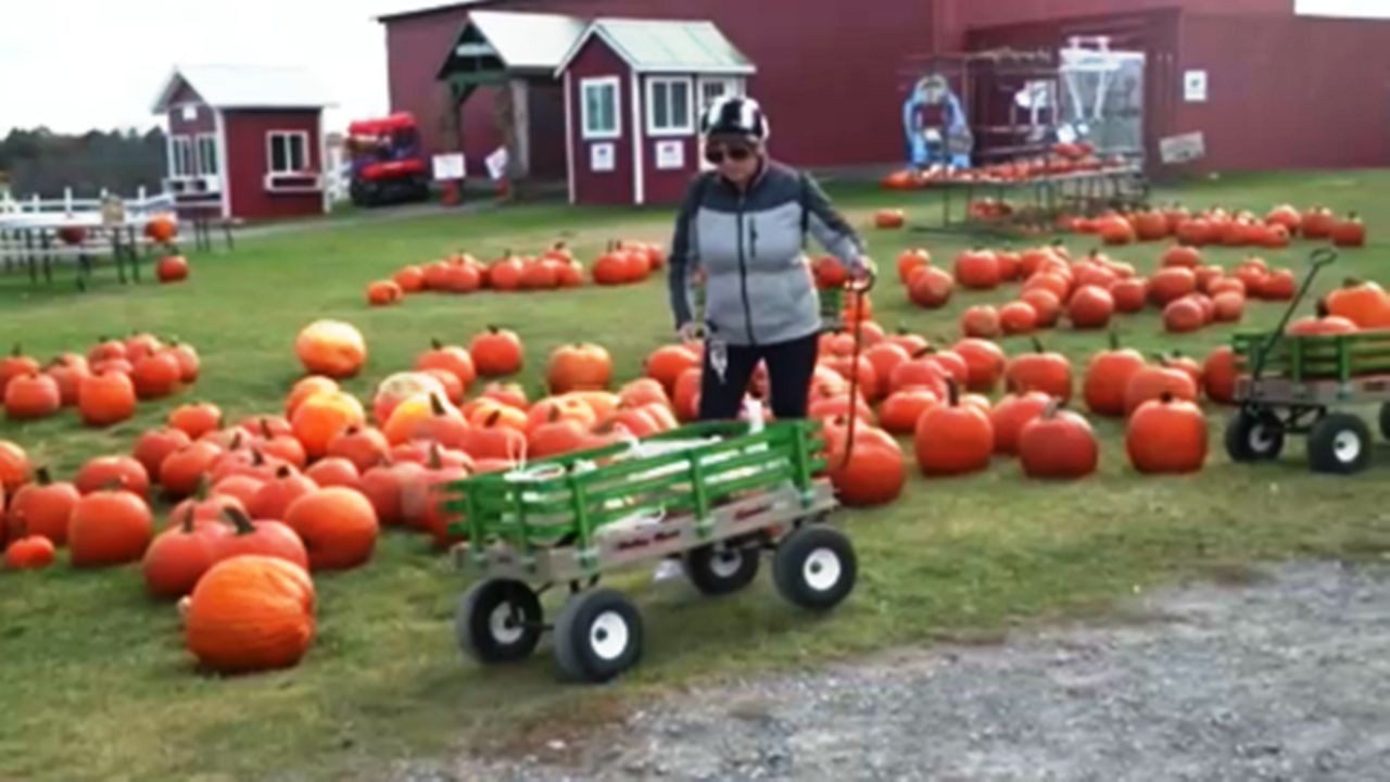 Ellms Family Farm Reopens With Fall Activities