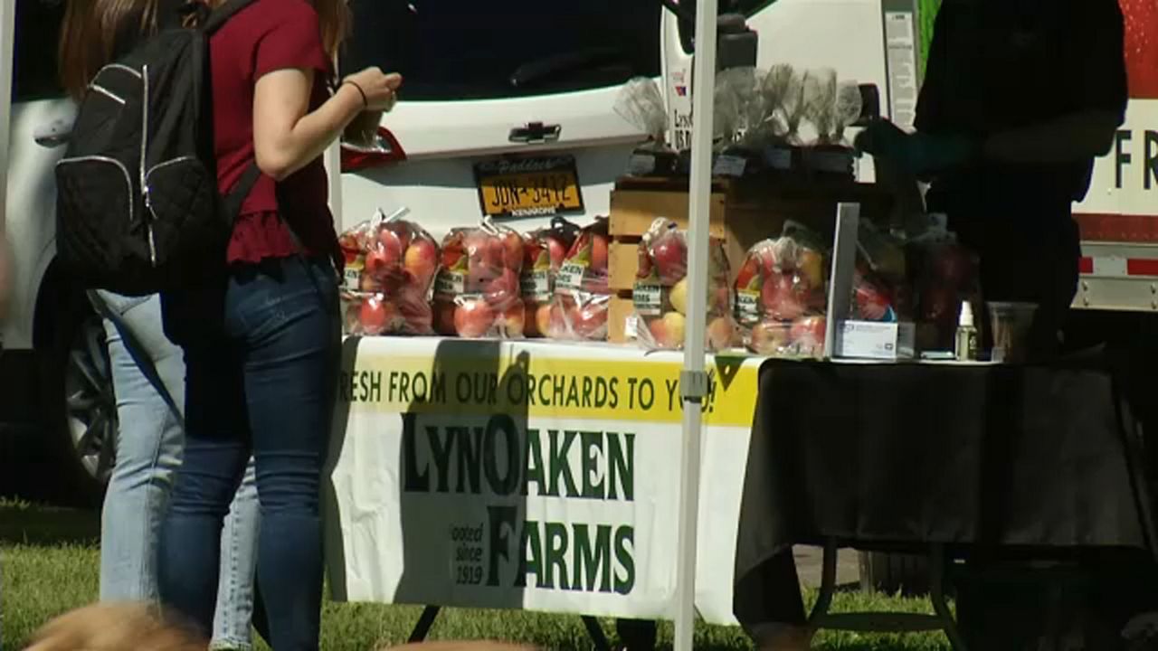 Buffalo’s Elmwood Village Farmers Market returns