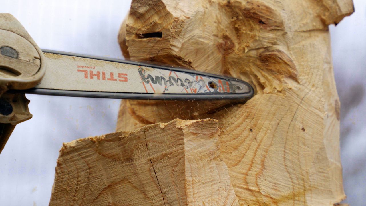 Exploring Ohio Chainsaw Art