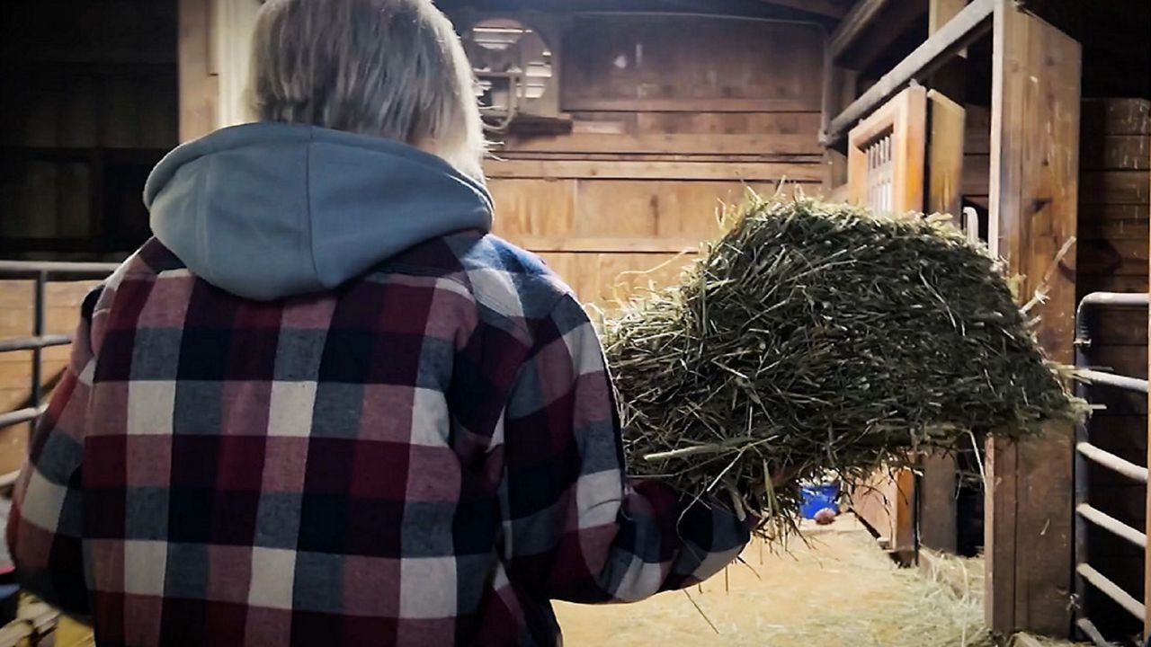 Exploring Ohio Angels Haven Horse Rescue