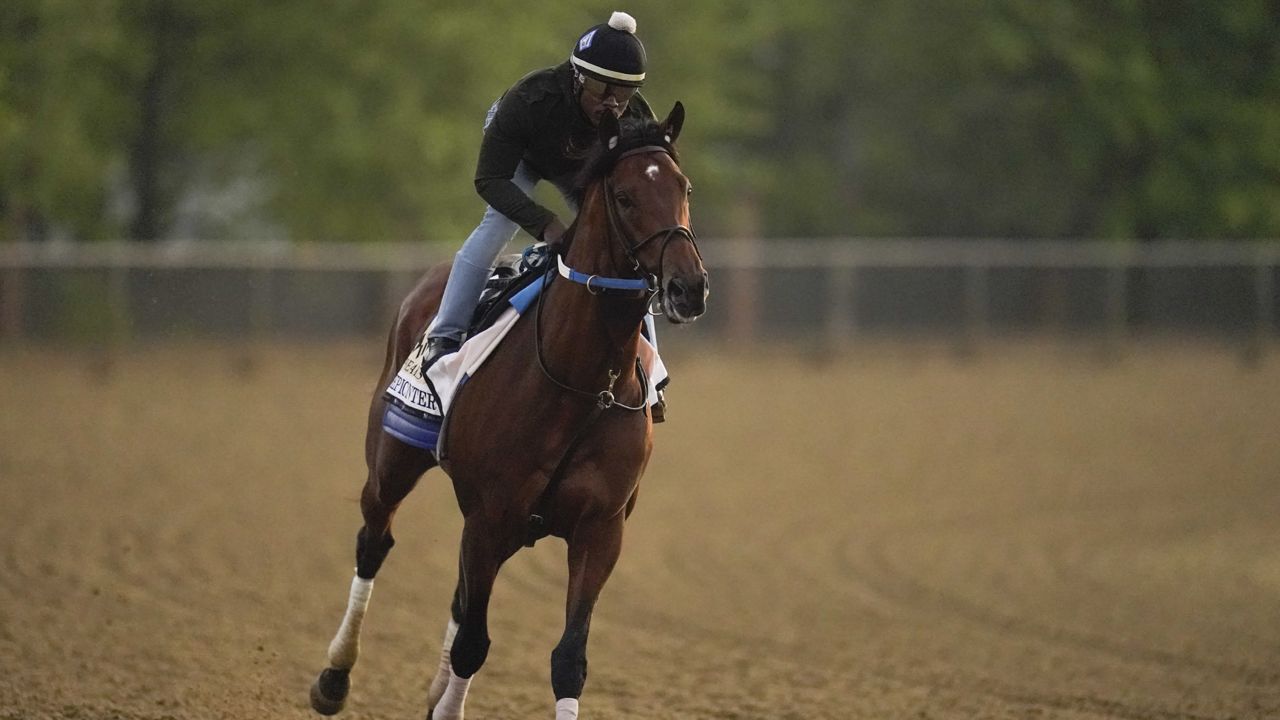 Preakness entrant Epicenter, the runner up in the Kentucky Derby, gallops during a morning workout ahead of the Preakness Stakes Horse Race at Pimlico Race Course, Thursday, May 19, 2022, in Baltimore. (AP Photo/Julio Cortez)