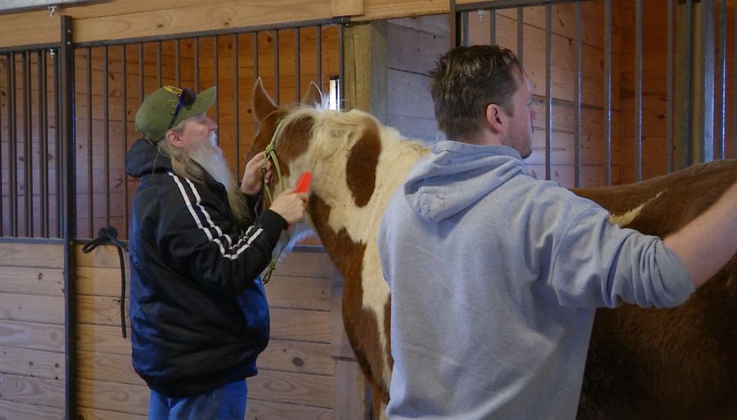 Veterans Conquer Depression with Equine Therapy