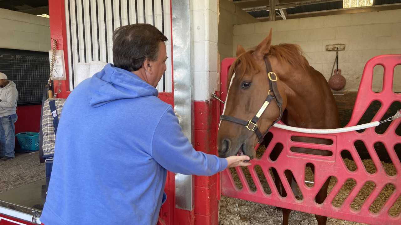 Rich Strike, 80-1 winner of the 2022 Kentucky Derby, is retired and to be sold as stallion prospect