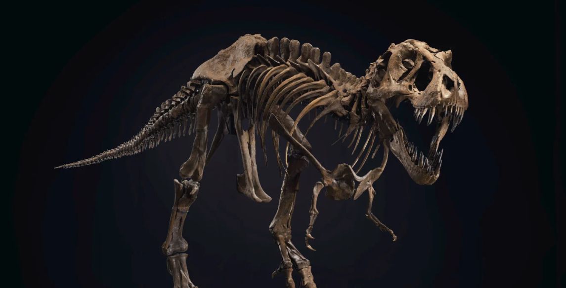Dinosaurio. Foto: Christie's.