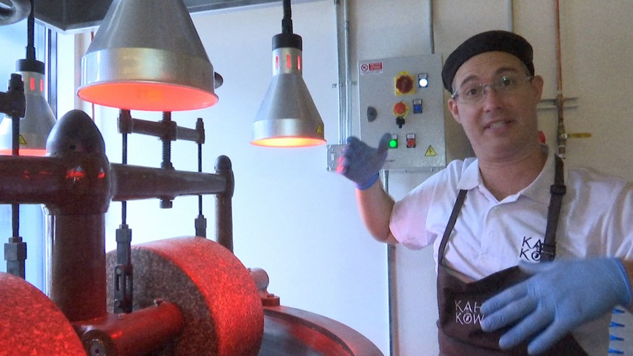 Ofrecen en Nueva York el sabor del cacao dominicano