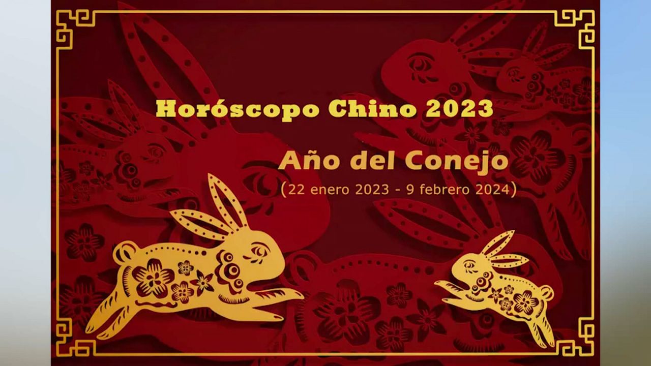 Según el horóscopo chino, este 2023 es el año del conejo: ¿qué significa  eso? - Gente - Cultura 