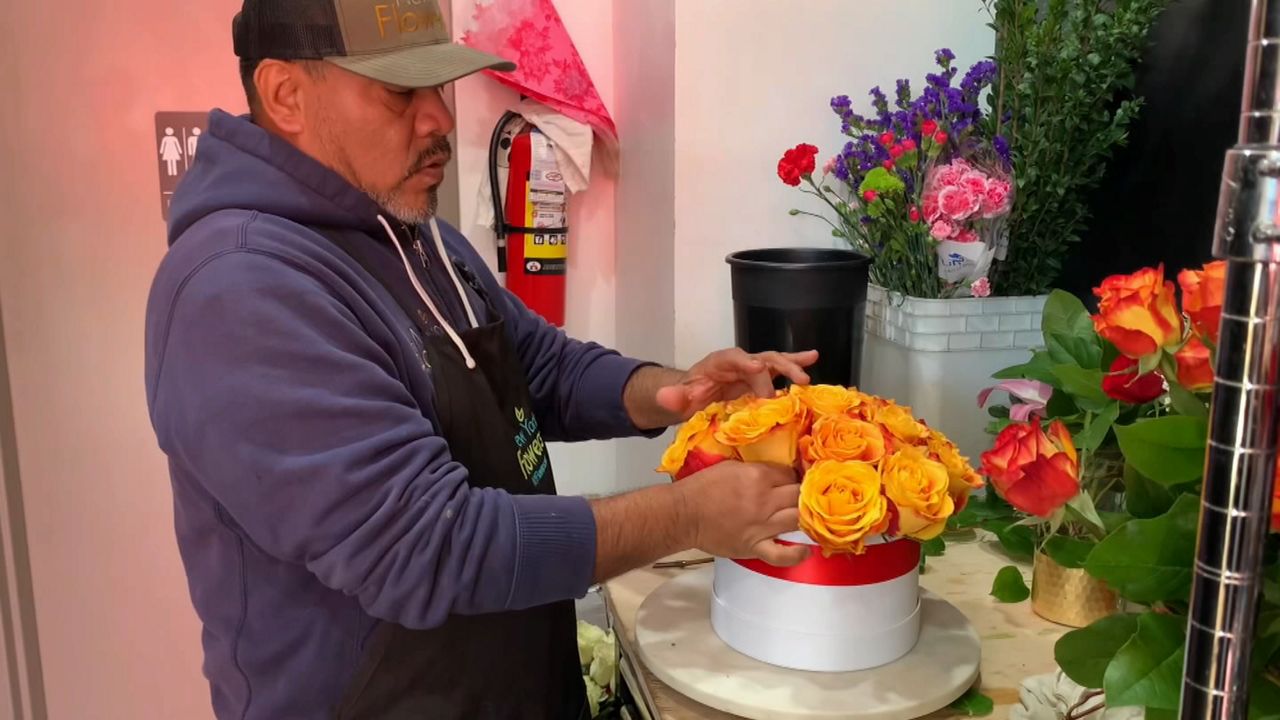 Flores.