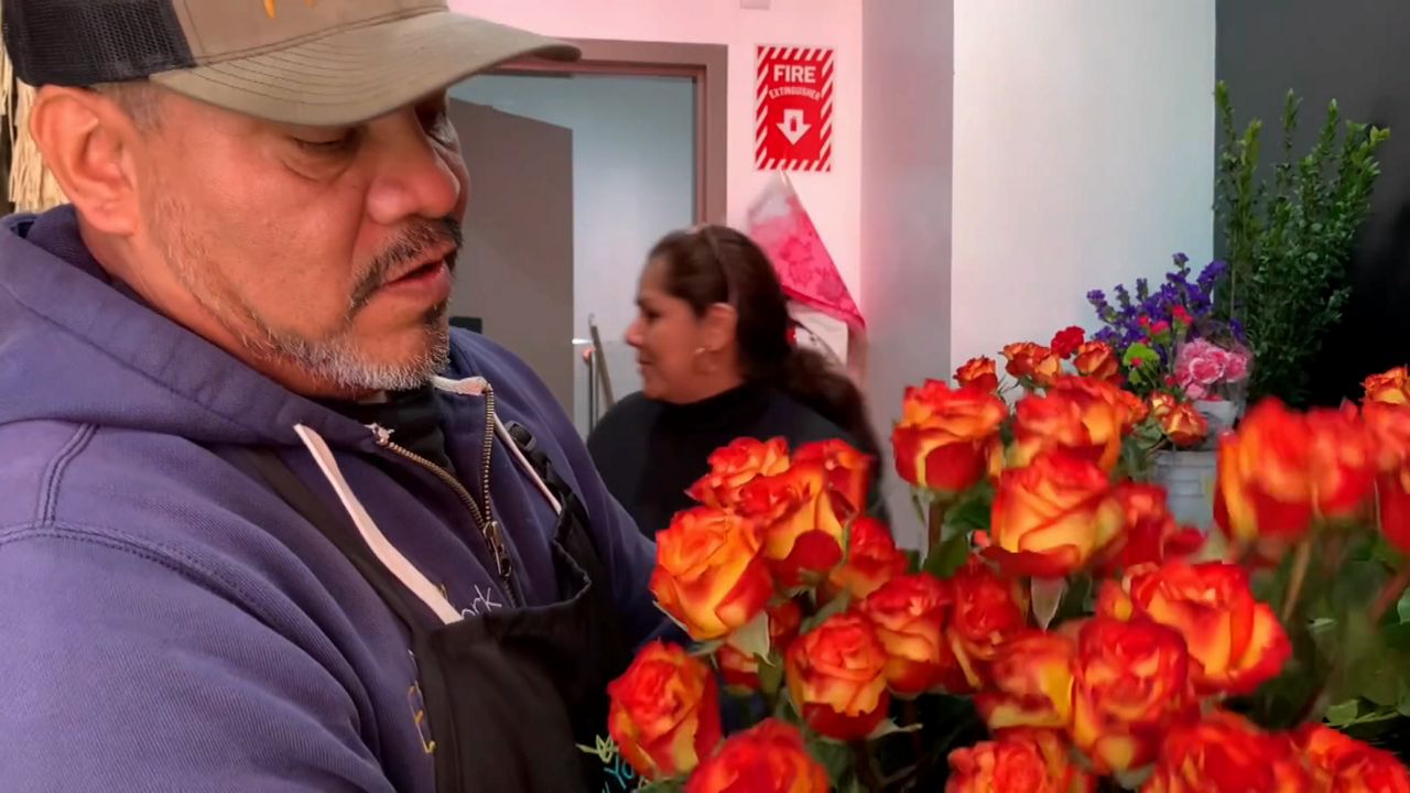 Temor en floristerías: no venderán mucho por alto costos