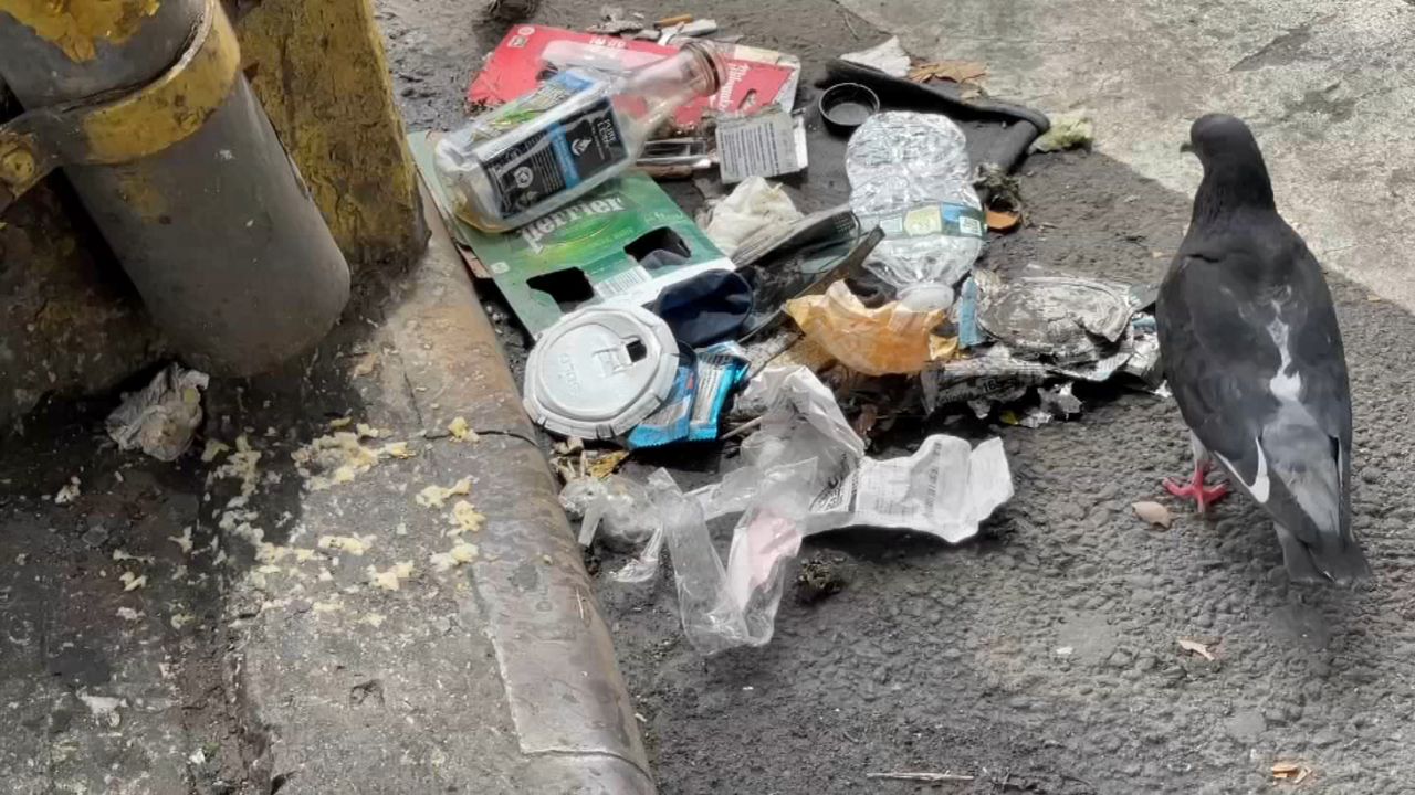 Neighbors ask City to install Ridgewood trash cans