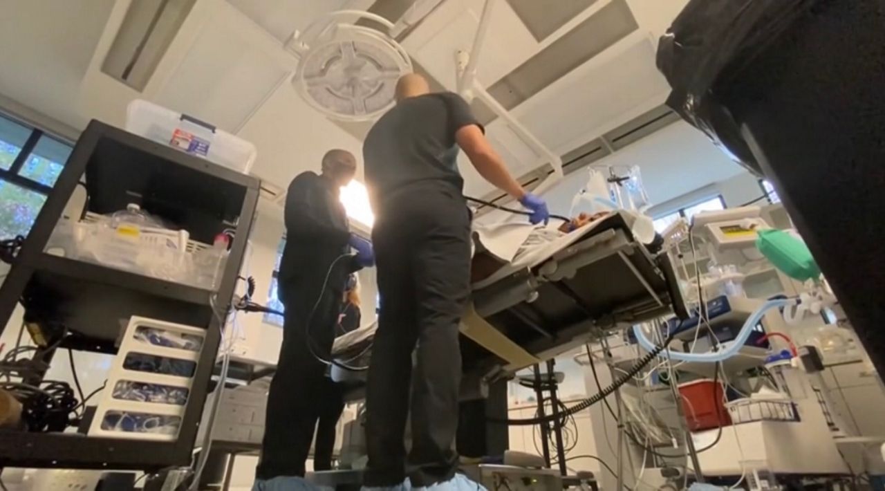 The demand for ESG weight loss procedures