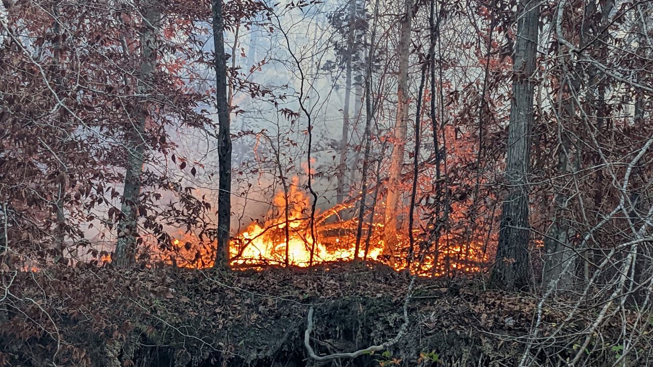 Forest fires burn in Estill County. (Estill County Emergency Management)