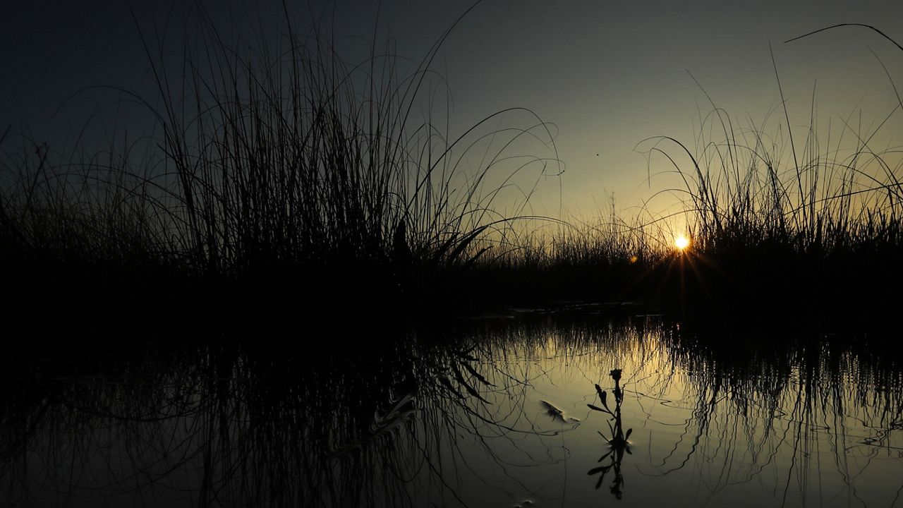2019 file photo of sunrise in the Florida Everglades (AP/Robert F. Bukaty)