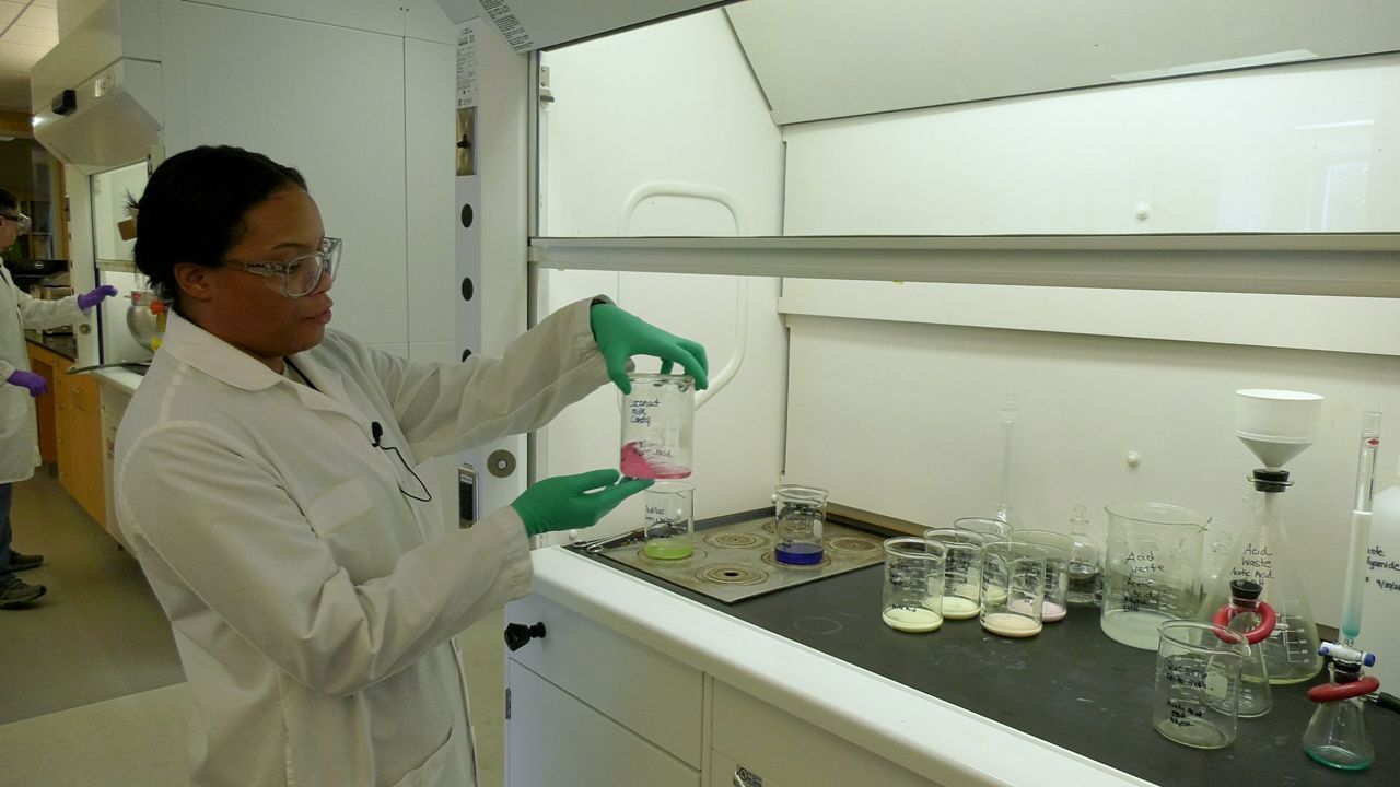 How New York tests food and handles recalls