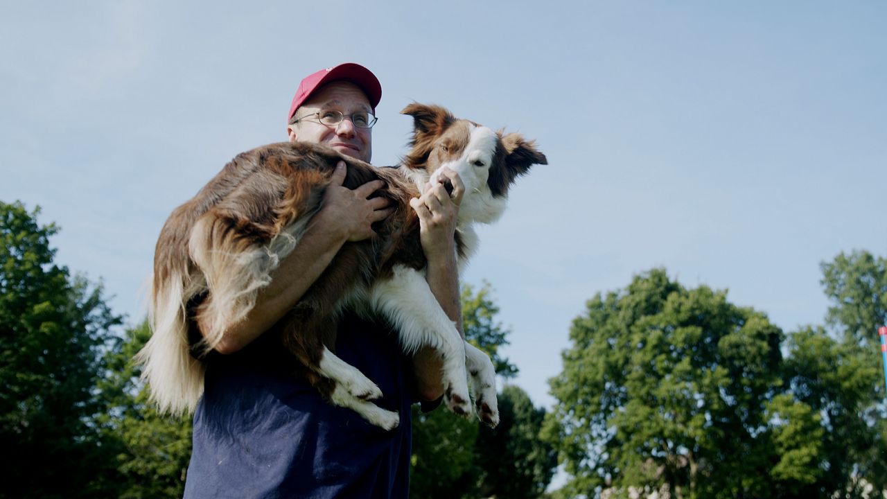 Exploring Ohio Performance Dogs of Ohio