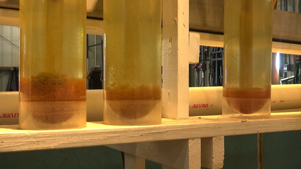 Exploring Ohio Fish hatcheries across the Buckeye State