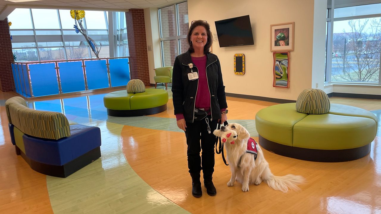 Facility Dog Program  Norton Healthcare Louisville, Ky.