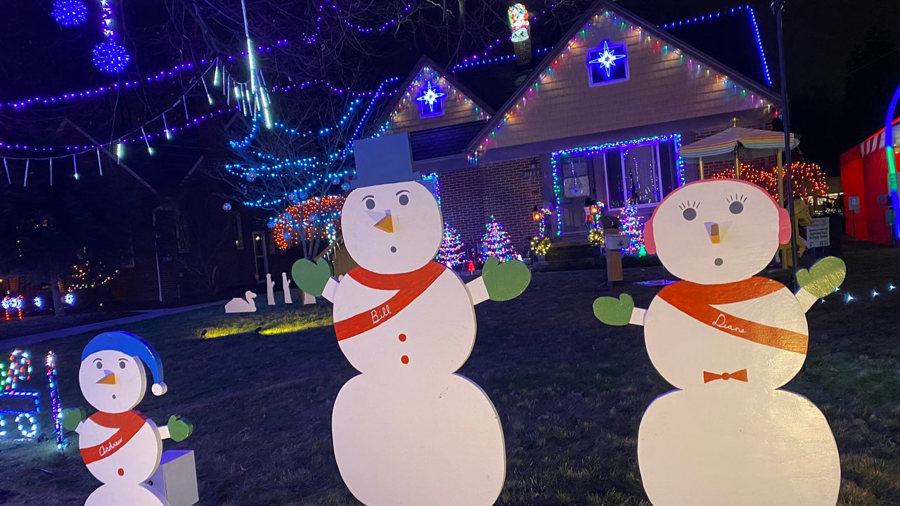 Neighbors unite for communitywide light display