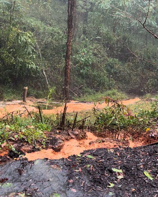 Flooding as Helene moved through Fairview, N.C. (Caitlyn Eker)