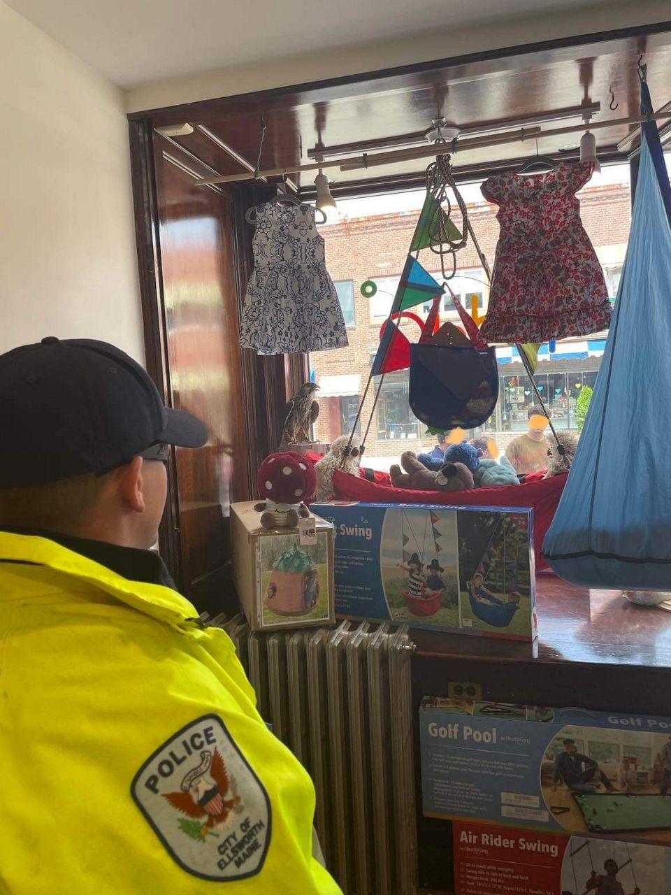 Police wrapped this Peregrine falcon trapped in a store in a jacket and released it safely outside the store. (Ellsworth Police Department)