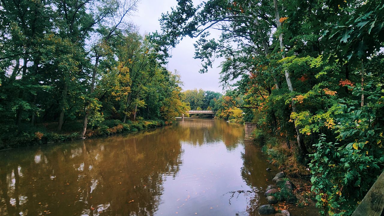 Fall colors start to pop in the Rocky River Reservation in Olmstead Falls on Sept. 22, 2024. (Spectrum News 1/Lydia Taylor)