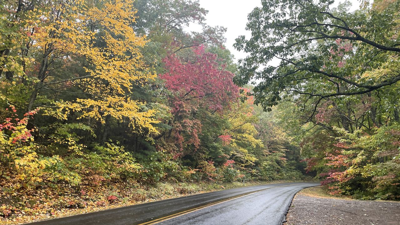 Check out fall foliage in NC mountains