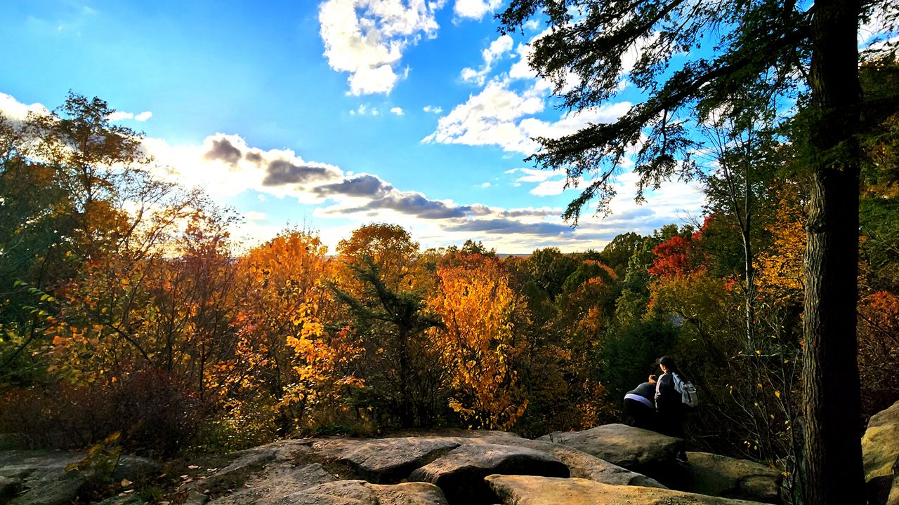 The sun highlights the autumnal colors at the overlook at Cuyahoga Valley National Park. (Spectrum News 1/Lydia Taylor)