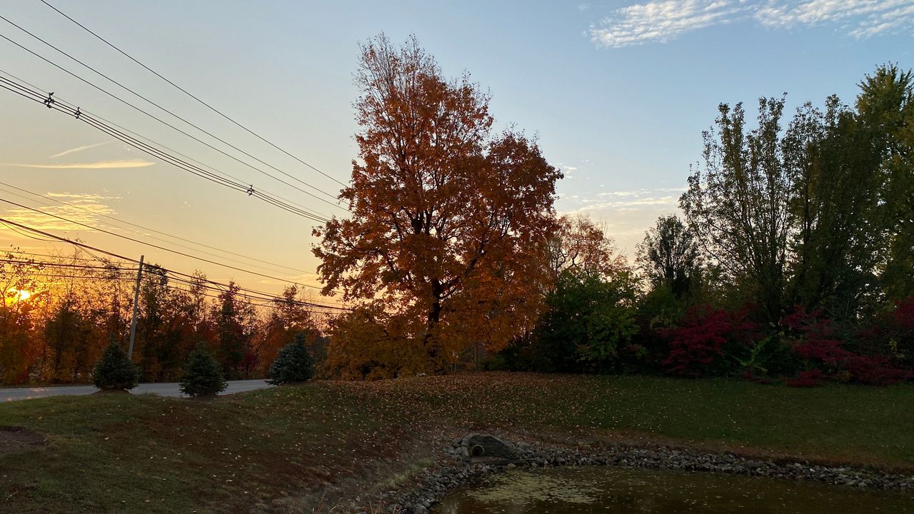 What fall road hazards mean for your morning and evening commute