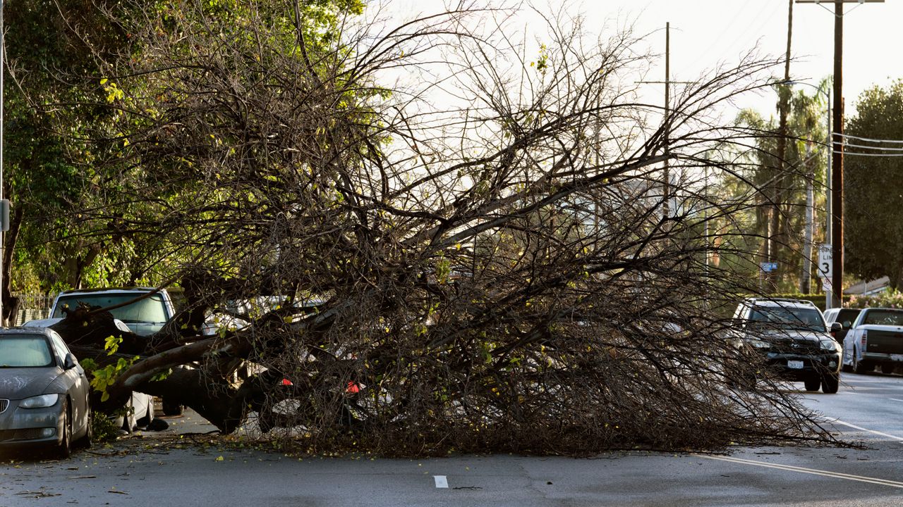 Evacuation warnings amid flooding after California storm