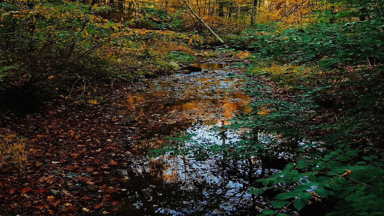 Summit Metro Parks 57th Annual Fall Hiking Spree Underway