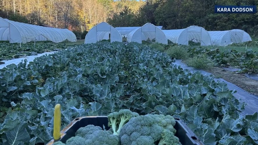 N.C. mountains farm rattled by racist sign left on their property, FBI investigating