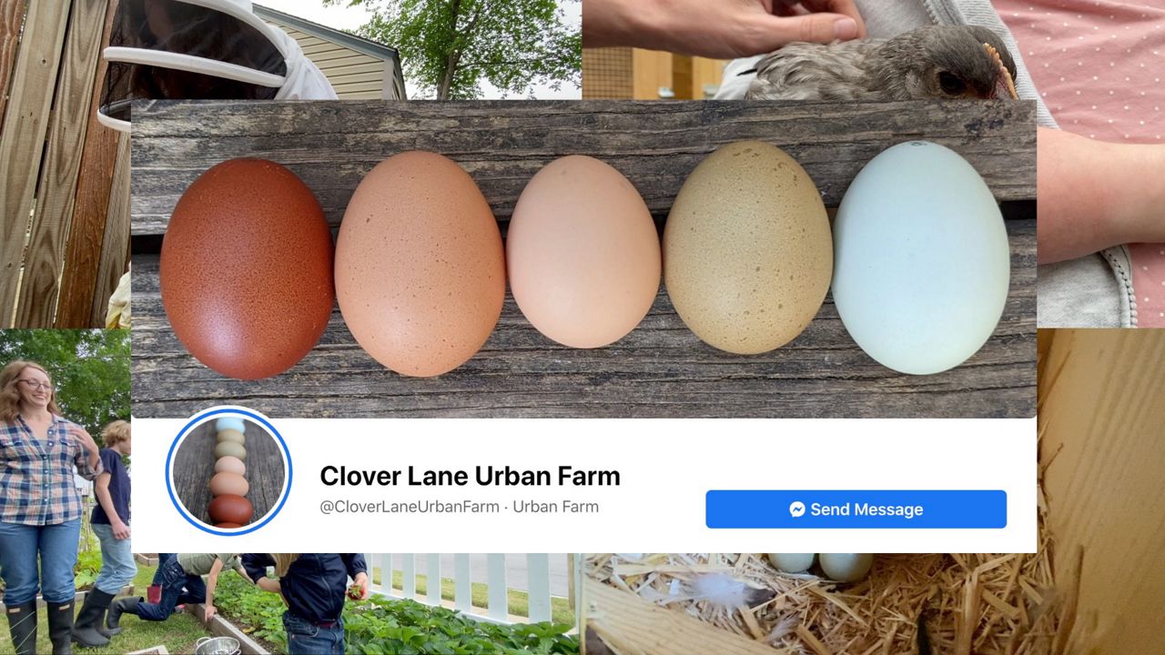 Pictured is the wallpaper image of Clover Lane Uban Farm’s Facebook page. (Courtesy: Tara Coughey)