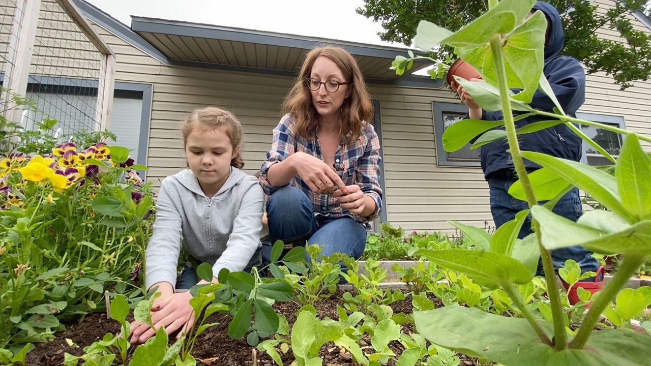 Pictured is 8-year-old Elizabeth Coughey and her mother Tara planting peanut plants in their front yard garden at their home in Fort Worth, Texas. (Spectrum News 1/Lupe Zapata)