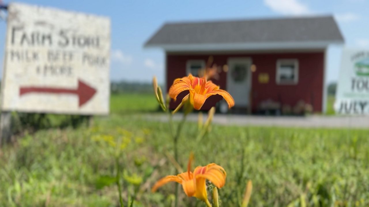 farm store