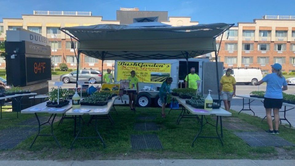 Watertown Farmers' Market Opens for Season