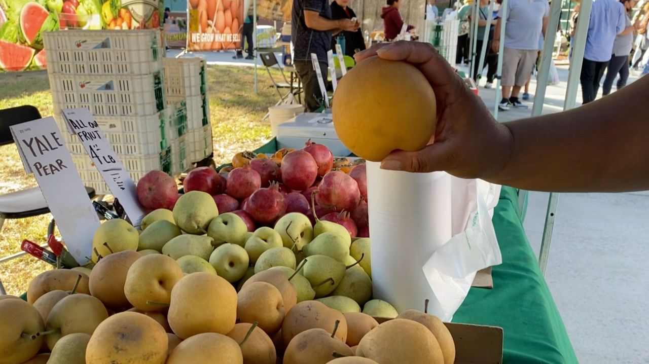 farmers market