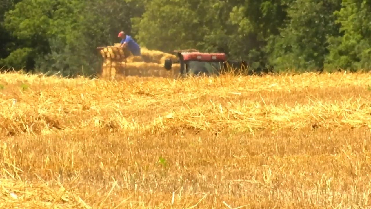 Booklet Rollout Seeks to Improve Youth Farm Safety