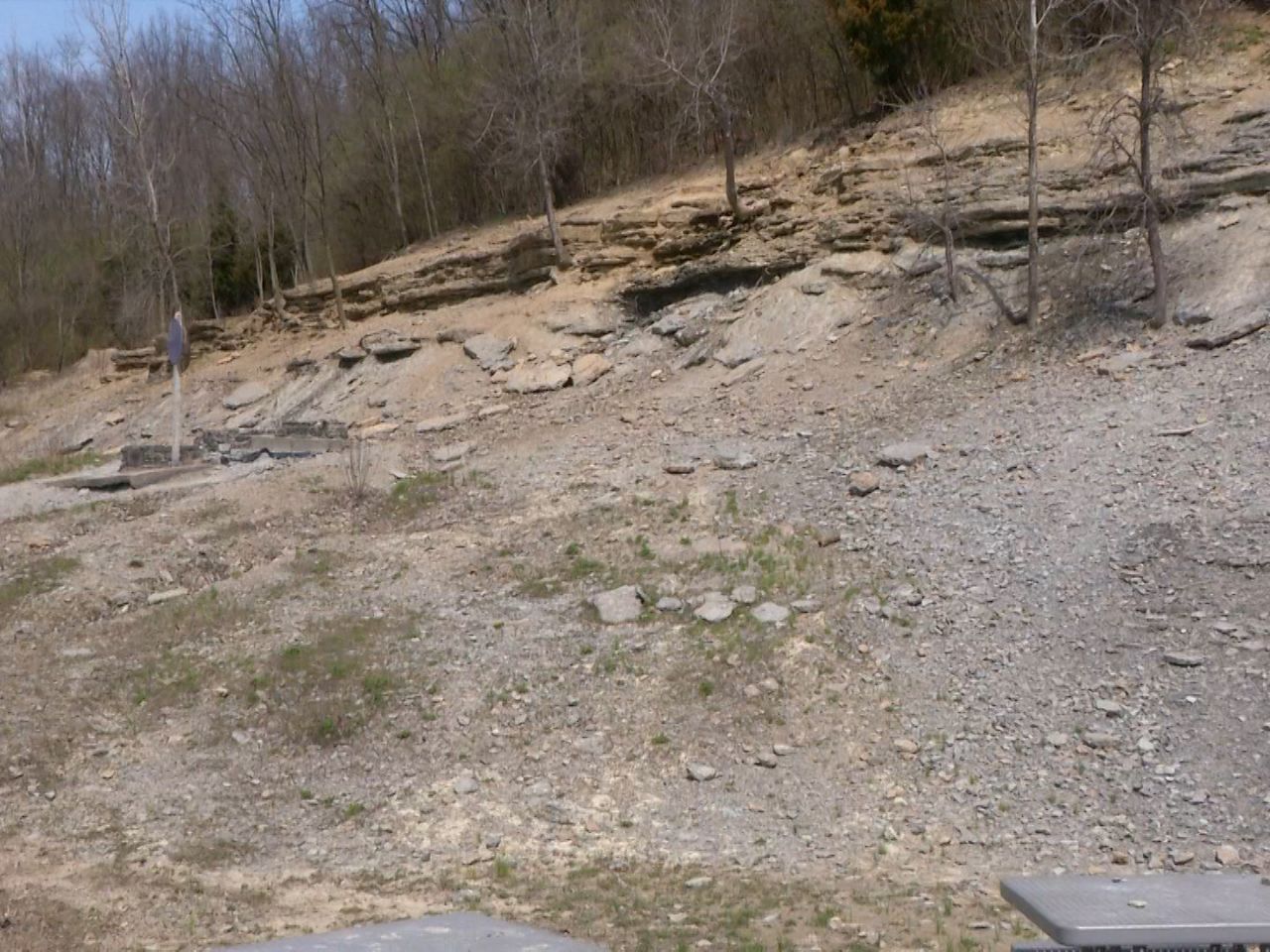 world's largest fossil park