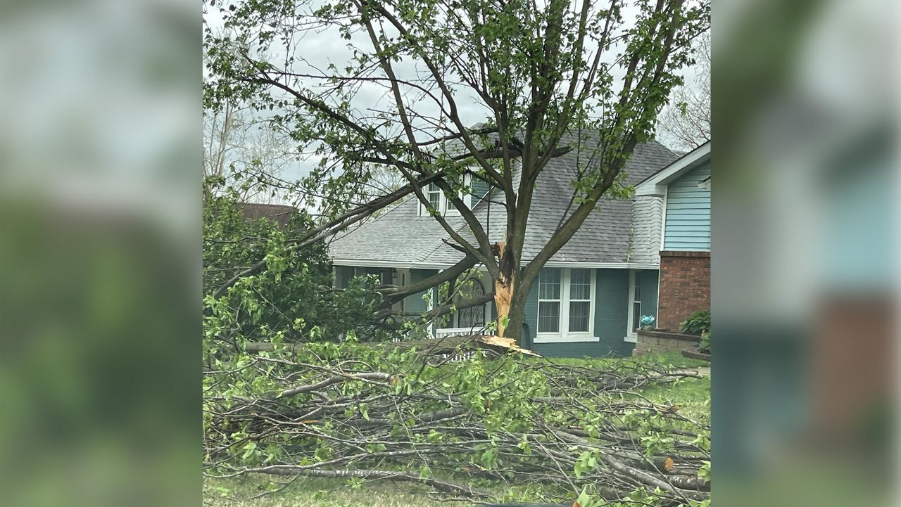 Fetus storm damage in Jefferson County. (Twitter/bsting54) 
